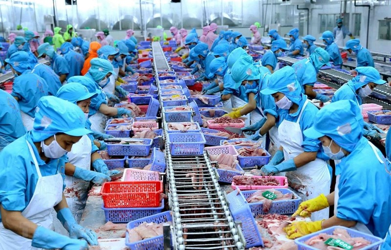  Tổng quan về thủy sản xuất khẩu Việt Nam hiện nay