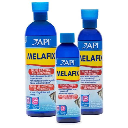  Cung cấp thành phần kháng khuẩn, trị bệnh – thuốc Api Melafix cho cá