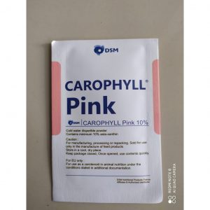 Thuốc kích đầu cho cá la hán Carophyll pink an toàn hiệu quả 