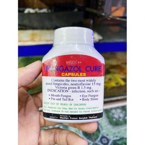 Chi tiết thông tin về thuốc nâu Fungazol Cure cho cá