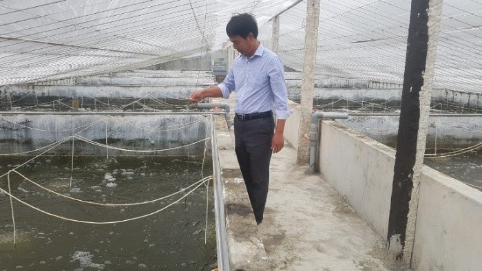  Mô hình nuôi cua biển trong bể xi măng đặc biệt tại Việt Nam