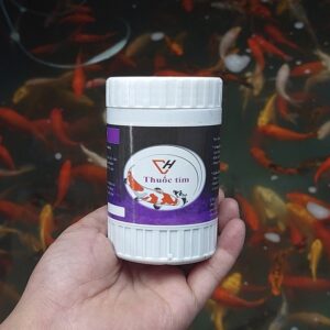  Hướng dẫn sử dụng chi tiết hiệu quả thuốc tím cho cá koi
