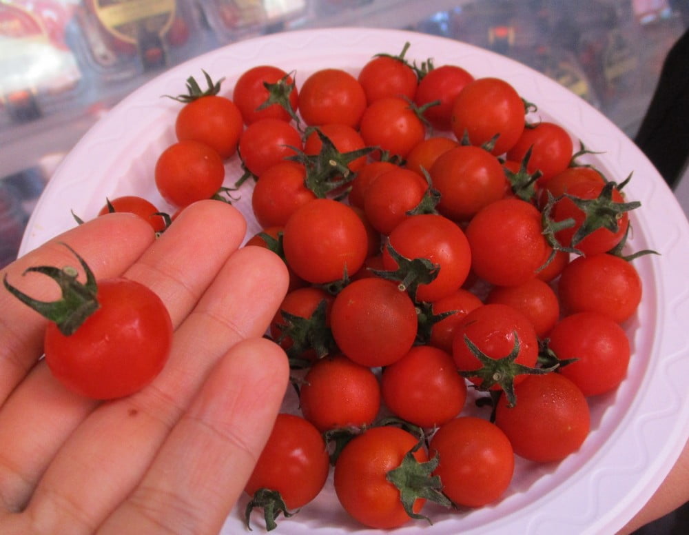 Giá cà chua tại Lâm Đồng
