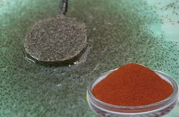 Tìm hiểu thông tin chi tiết về thức ăn cho tôm post