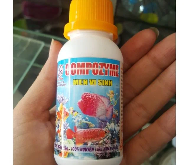 Bí quyết sử dụng thuốc phòng bệnh cho cá cảnh đúng cách nhất