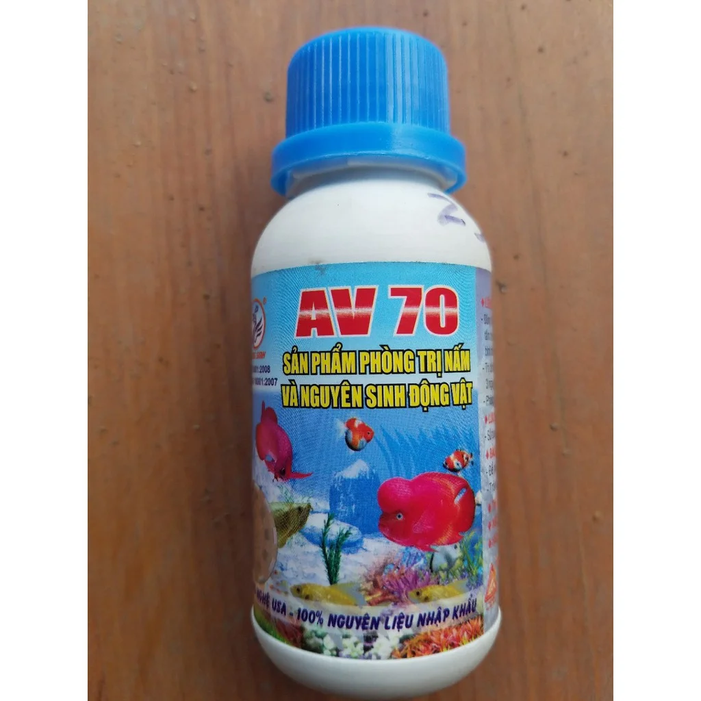 Bí quyết sử dụng những loại thuốc phòng bệnh cho cá cảnh đúng cách nhất