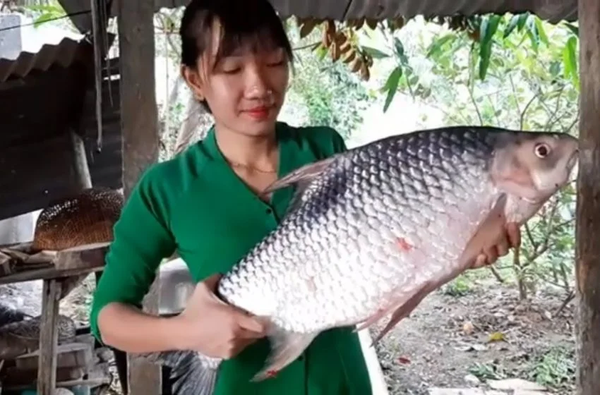 Xây dựng mô hình nuôi cá cầy nước ngọt duy nhất tại Việt Nam