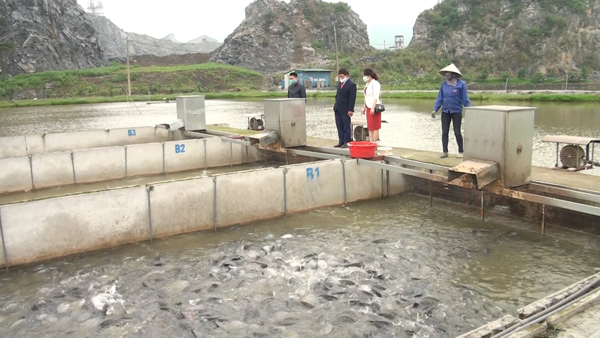 Cá cầy nước ngọt cần có cách chăm sóc tỉ mỉ và đặc biệt. Dưới đây là bài viết trình bày chi tiết cách quản lý và chăm sóc cá cầy tốt nhất.