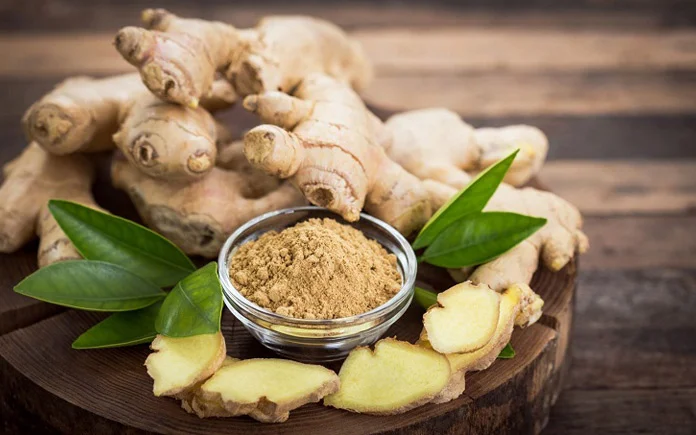 Thông tin giá gừng hôm nay mới nhất