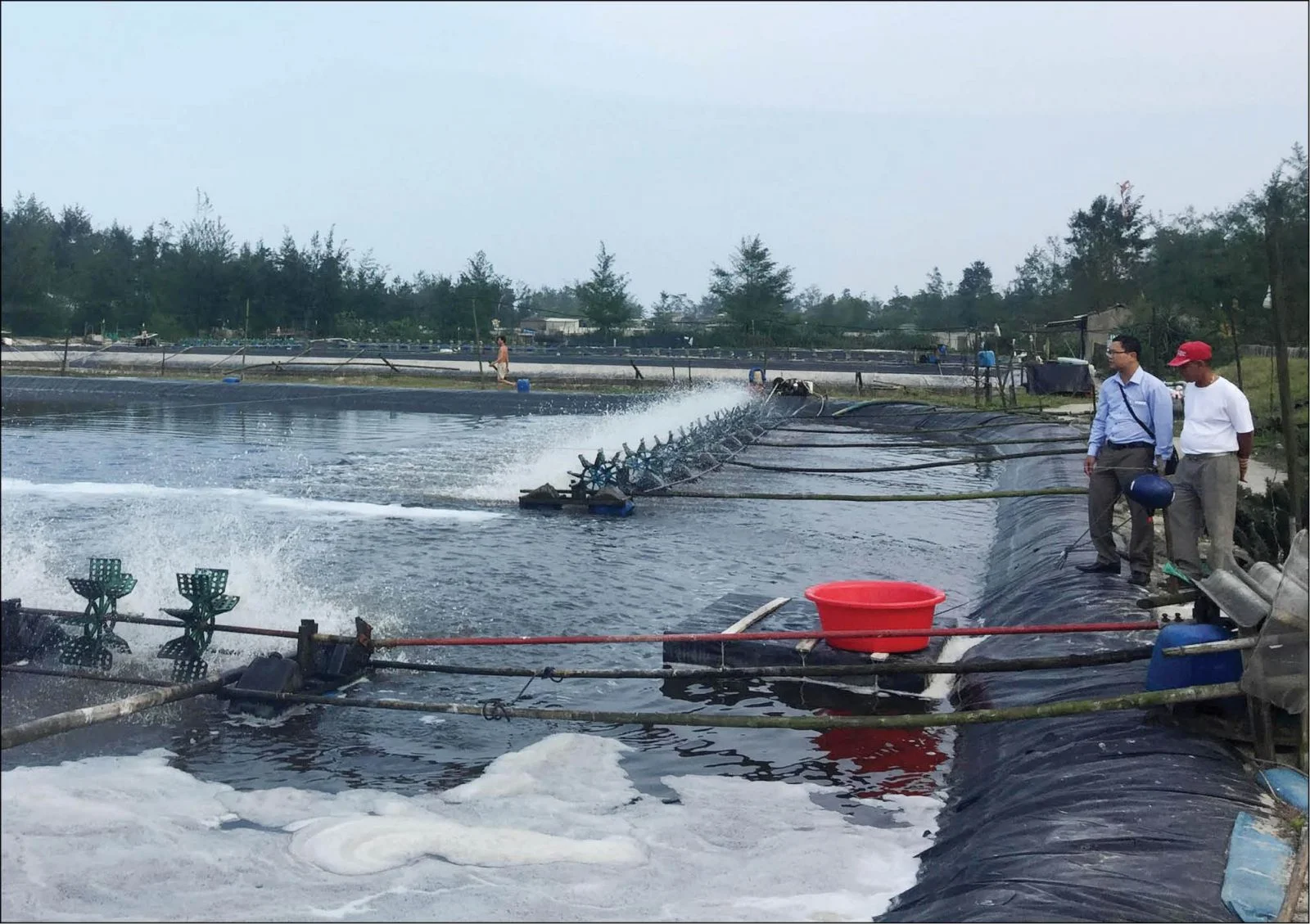 Trong quá trình nuôi thả sẽ không thể tránh được những vấn đề nảy sinh, vậy nên cần phải lập ra một kế hoạch chăm sóc cụ thể để mô hình có thể phát triển một cách tốt nhất có thể.