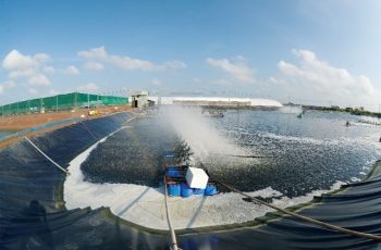 Tỷ lệ C/N là gì