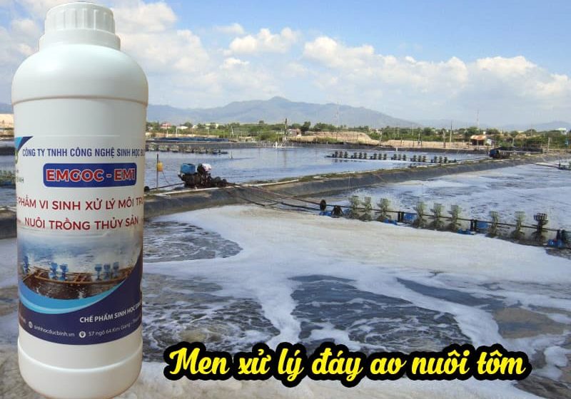 Men vi sinh chiếm được lòng tin của người dân trong nuôi trồng thủy sản
