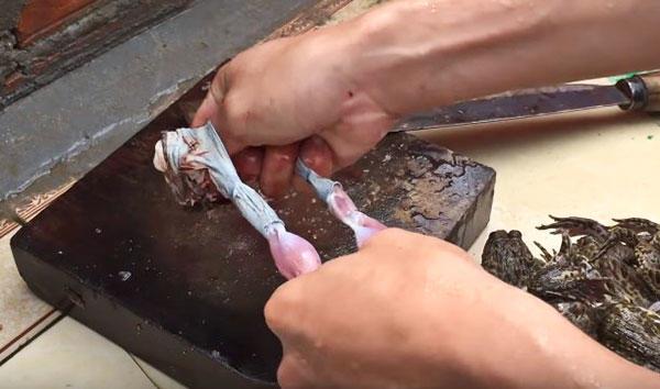  Gía ếch thịt biến động mạnh trên thị trường Việt Nam