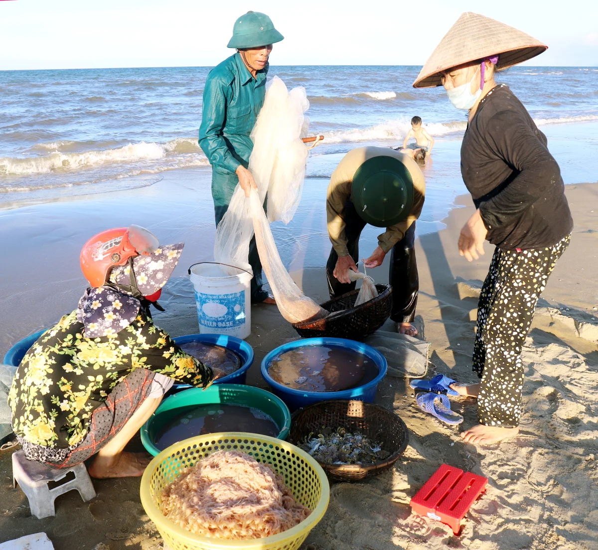 Trước tiên khi bắt đầu bước vào khâu chọn giống. Bà con nên tìm một cơ sở bán giống chất lượng và uy tín. Lựa chọn những con giống khỏe mạnh. Không bị dị hình dị tật và bơi lội linh hoạt. Nên thả giống ở mật độ vừa phải, không nên thả quá dày vì sẽ ảnh hưởng đến sự phát triển của ruốc biển. Thả giống vào sáng sớm hoặc chiều mát để chúng không bị sốc nhiệt. Khi thả giống nên thả từ từ, tránh dốc túi làm ngợp ruốc biển.