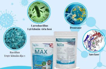 Men vi sinh chiếm được lòng tin của người dân trong nuôi trồng thủy sản