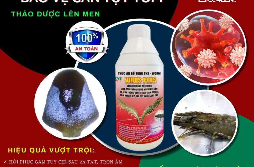 CHẾ PHẨM VI SINH TKS-WORM VIRUS PLUS